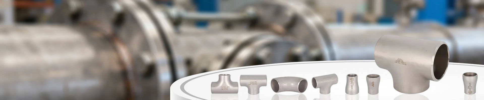 Stainless Steel Pipe Fitting