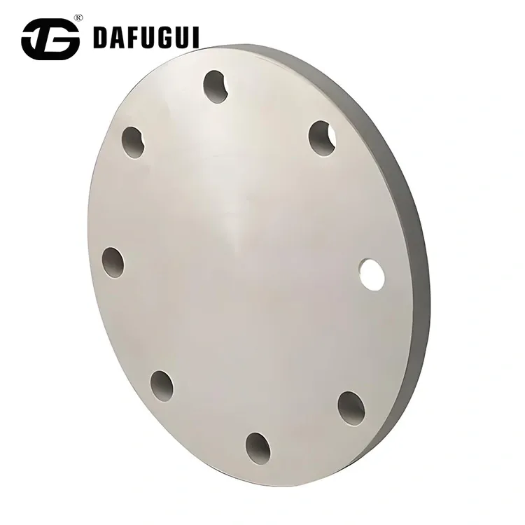 Duplex Steel S32205 Blind Flanges