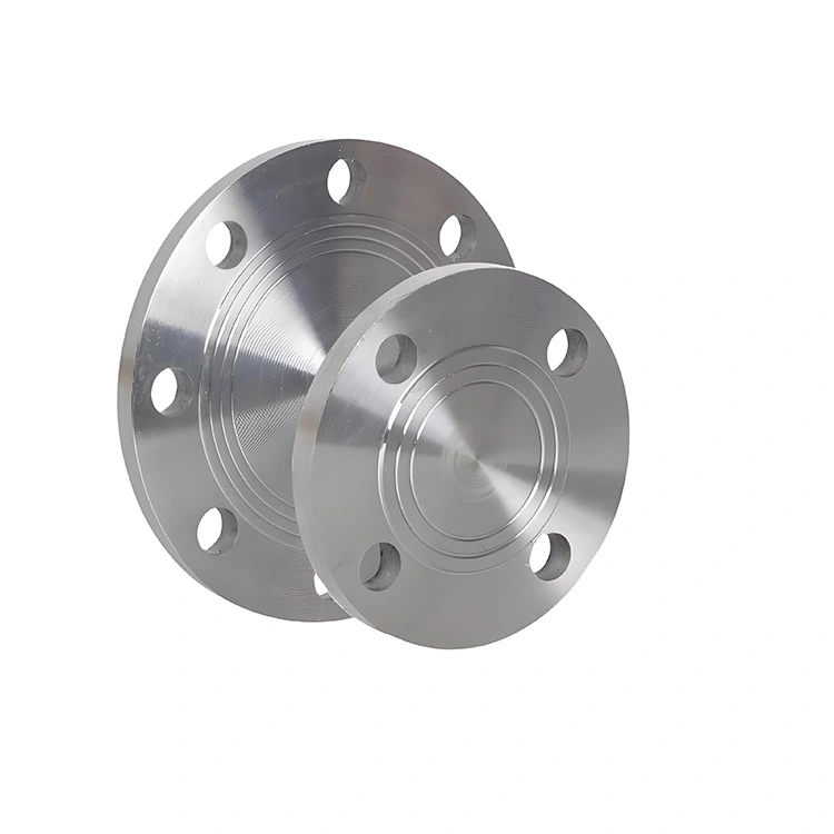 Duplex Steel S31803 Blind Flanges