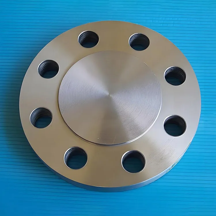 Duplex Steel S32205 Blind Flanges